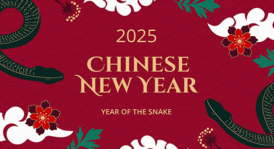Holiday Announcement - 2025 Chinese Lunar New Year